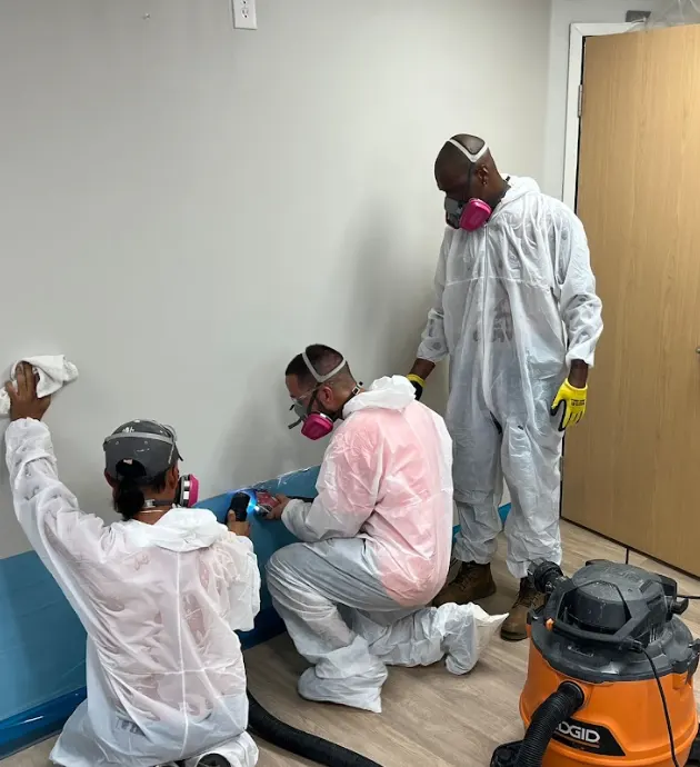 Four Steps We Use to Dry Your Walls