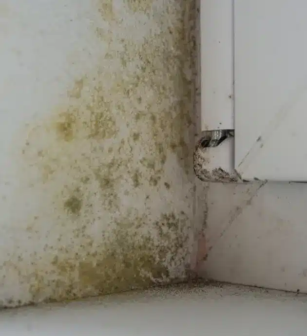 How Oklahoma City Dampness Traps Water Inside Walls