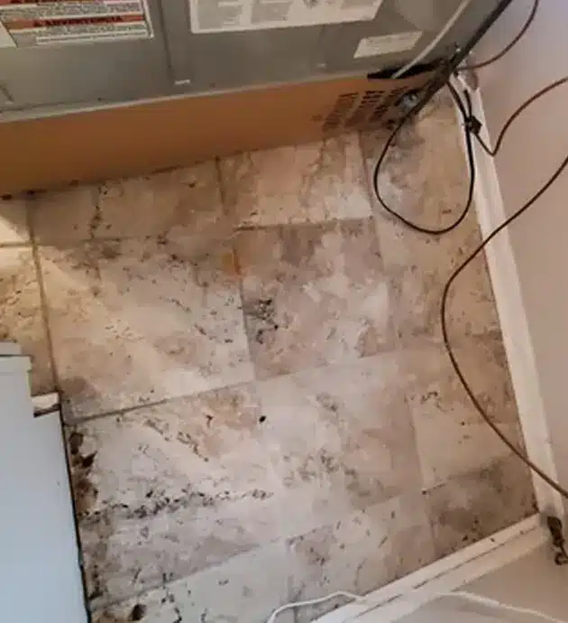 How to Stop Three Common Appliance Leaks