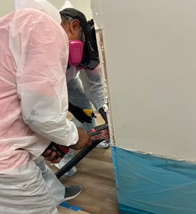 Professional Abatement Steps We Take