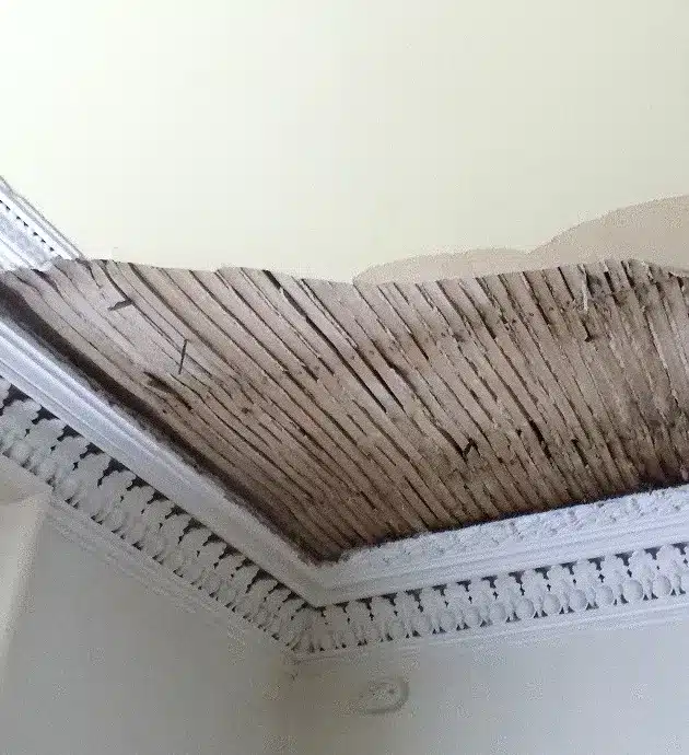 Close-up view of a ceiling showing visible water damage with sagging drywall and peeling paint, exposing underlying structural materials. The damaged area displays discoloration and deterioration consistent with moisture infiltration or a roof leak. A measuring ruler is placed against the affected section to document the extent of the damage.