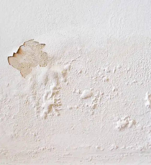 A water-damaged ceiling with peeling paint and visible staining, showing areas of discoloration and deterioration against a textured white plaster surface. The damage appears to include moisture-related marks and flaking paint in various patches across the ceiling. This image illustrates common signs of water intrusion or leaking that require repair and remediation.
