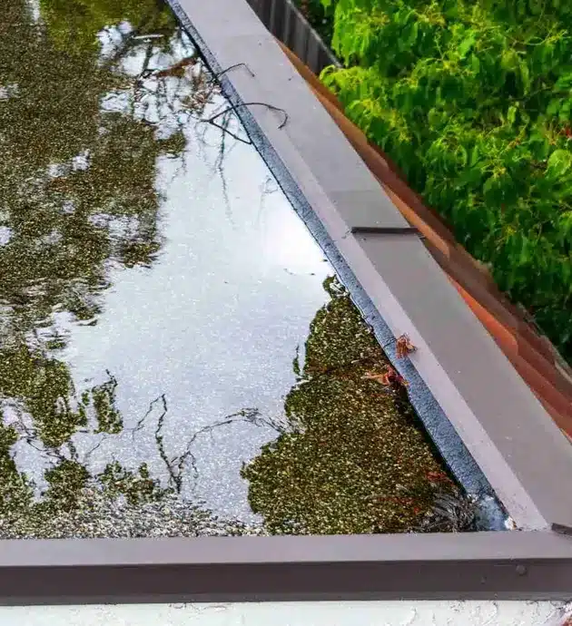 A rotated photograph showing a sidewalk or pathway alongside a body of water, with lush green vegetation and trees visible on both sides. The water appears calm with some reflections, while the concrete path runs parallel to it, creating a serene outdoor scene. The image captures a natural waterside environment with dense foliage framing the walkway.