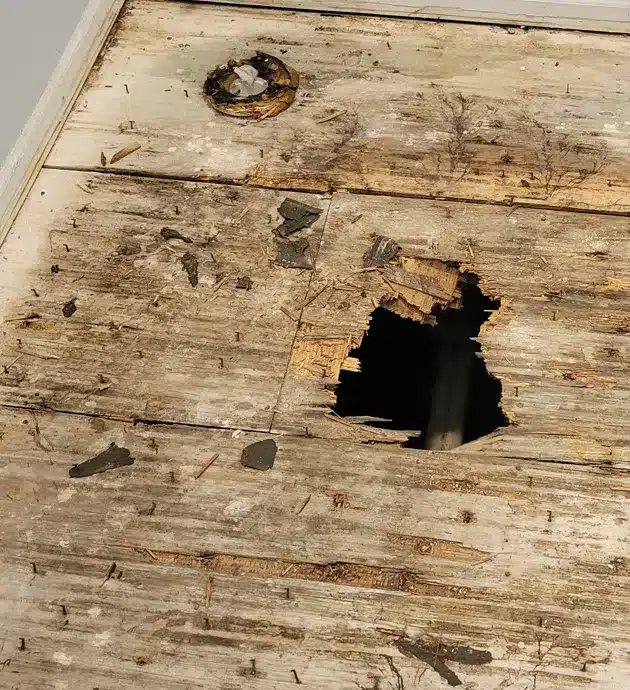 A wooden floor with visible damage and deterioration, featuring a large dark hole in the center-right area and scattered smaller holes and stains across the surface. The wood planks show signs of age, discoloration, and what appears to be water damage or rot. The flooring appears to be in poor condition and may require repair or replacement.
