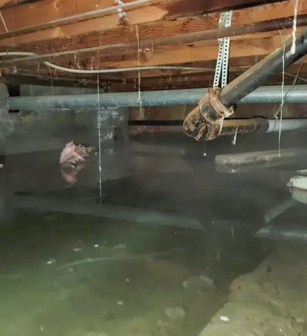 water under house inspection fails
