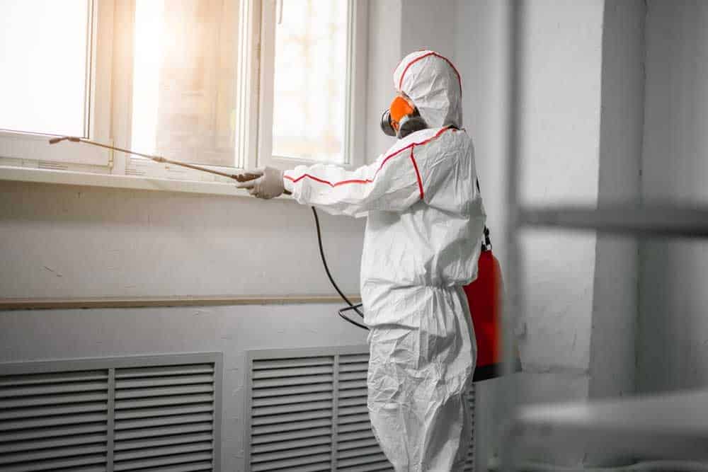 A worker in full protective gear, including a white hazmat suit, hood, and orange respirator mask, sprays pesticide or disinfectant along a window frame and wall using a handheld spray applicator. The person is positioned in a bright, minimalist indoor space with natural light streaming through windows, performing pest control or sanitization work. A red container, likely holding the treatment chemical, is visible at their side.